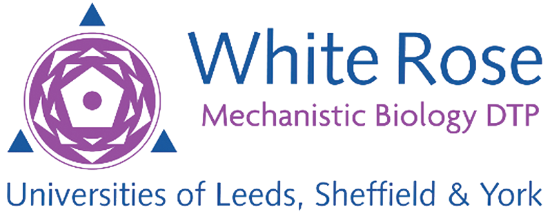 White Rose Mechanistic Biology DTP logo